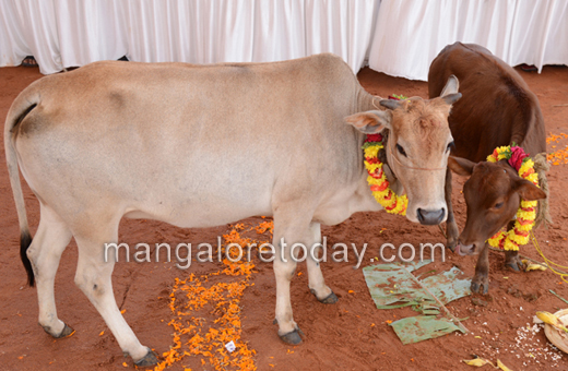 VHP rally against cow sloughter in mangalore